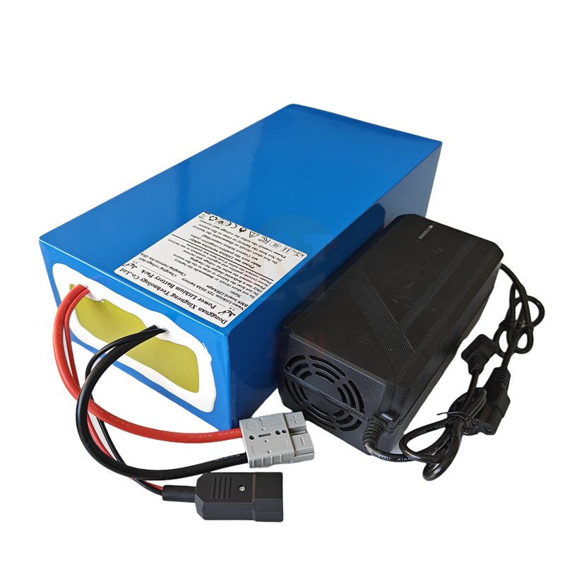 حزمة بطارية ليثيوم أيون 72 فول - مراجعة 72V 40Ah Lifepo4 Battery Pack وسعره